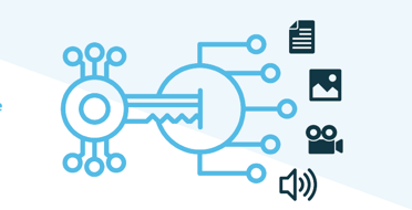 Vitrium-DRM-Encryption