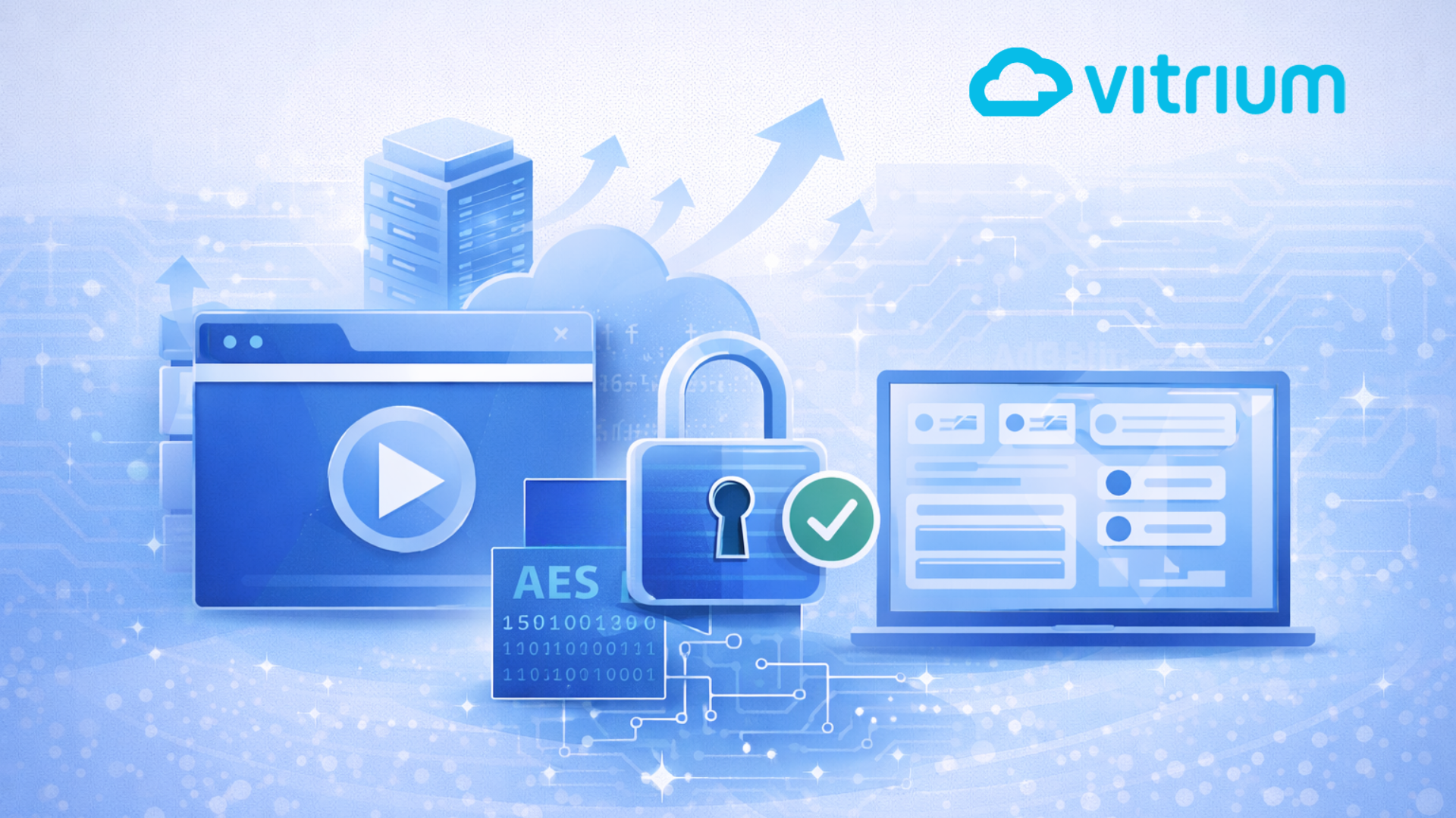 Vitrium DRM (2)